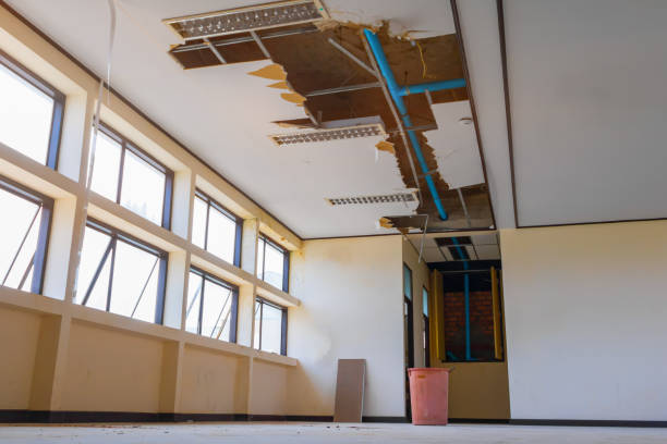 Best Fire Damage Restoration  in Santa Claus, IN