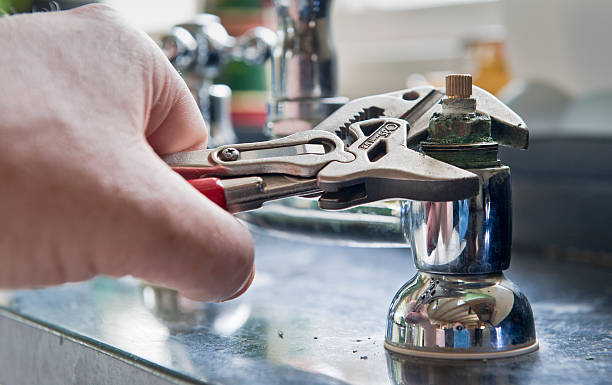 Best Mold removal after water damage  in Santa Claus, IN