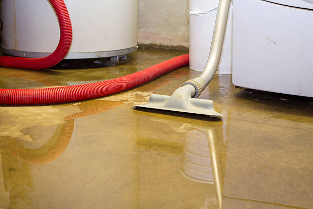 Best 24-hour water damage restoration  in Santa Claus, IN