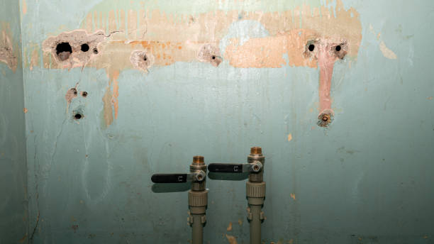 Best Flooded house restoration  in Santa Claus, IN