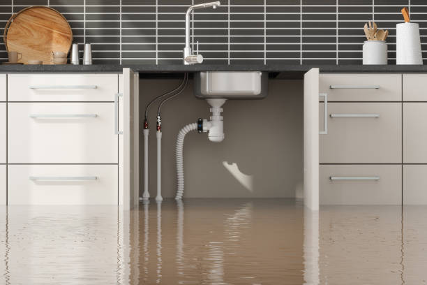 Best Ceiling water damage repair  in Santa Claus, IN