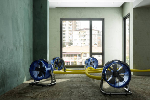 Best Flood restoration services  in Santa Claus, IN