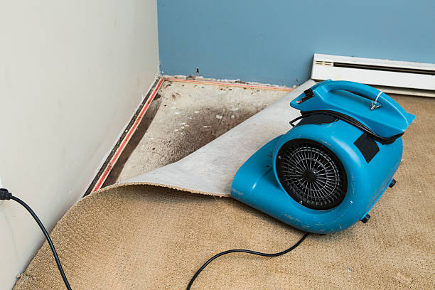 Best Flooded house restoration  in Santa Claus, IN